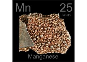 mangan-8627.jpg